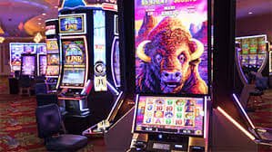 u34 bet u34 bet
